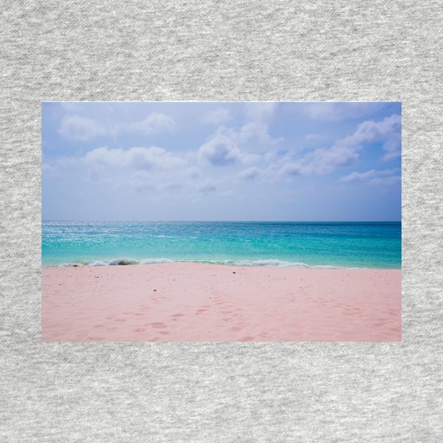 Tropical Beach Aruba by NewburyBoutique